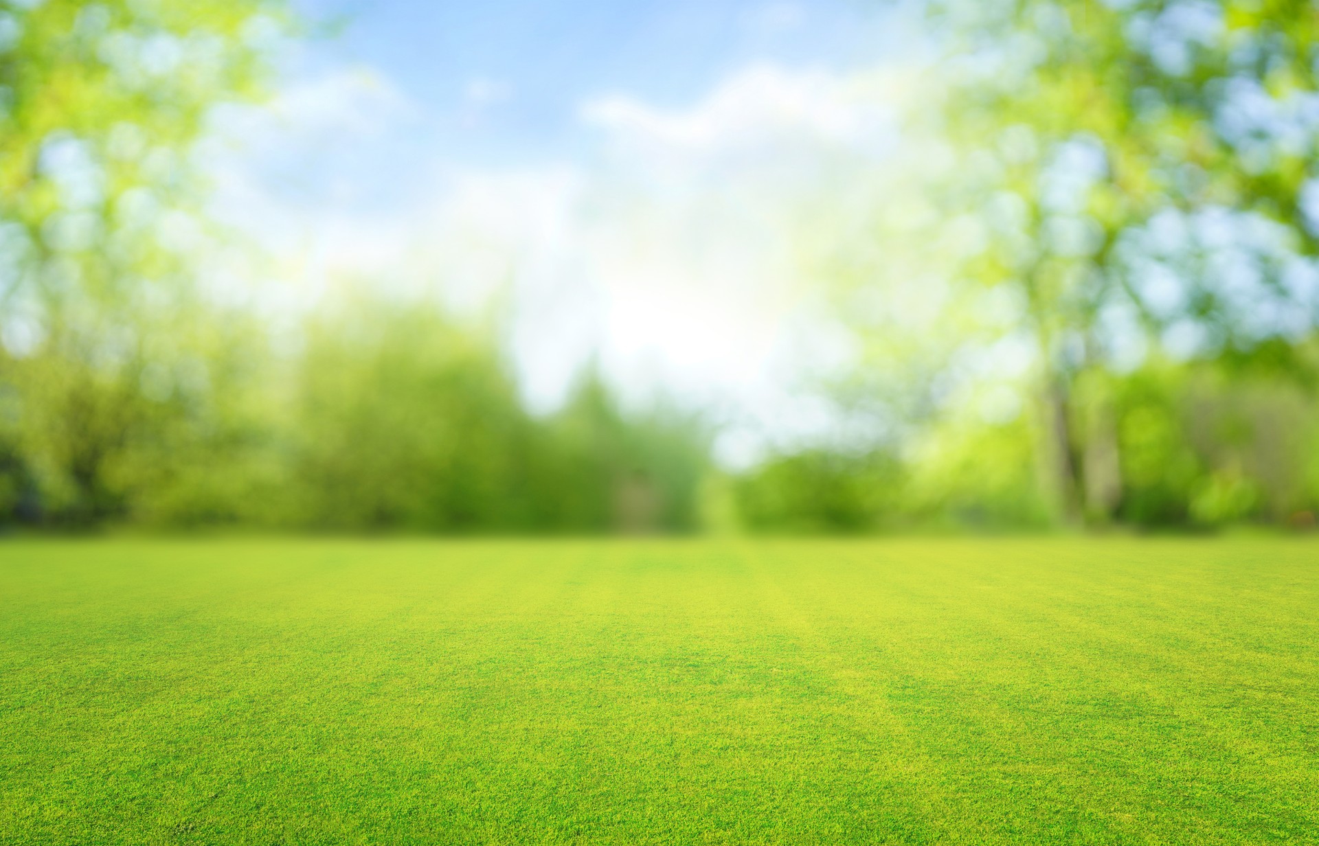 Beautiful idyllic background image with a soft blur of a trimmed lawn against the background of the surrounding vegetation.